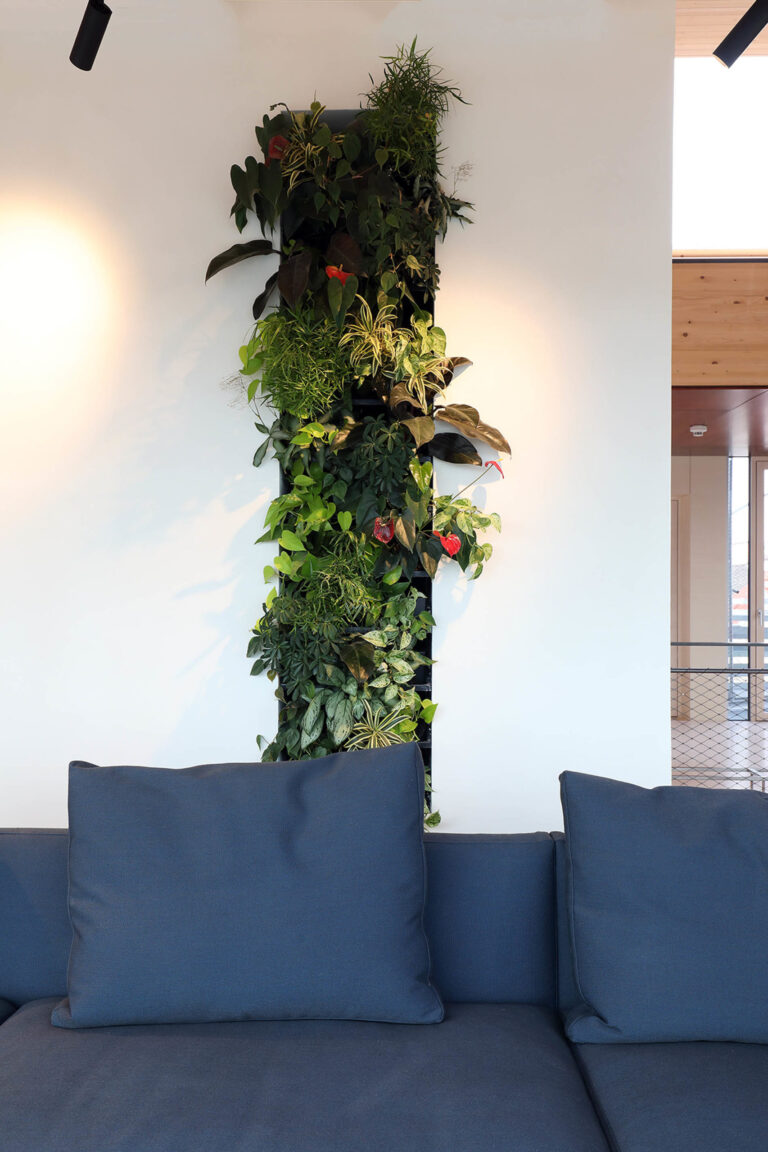 Ammon Dachboden Aufbau Wien Altbau Redtenbacher