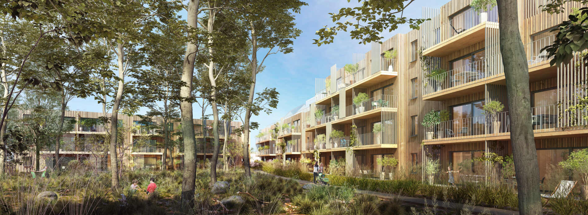 baukult holzbau donaustadtstraße