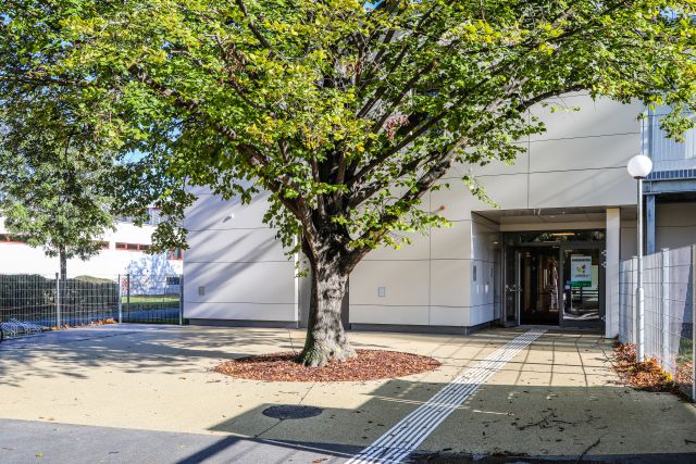 Kindergaten-Holzbau-tomaschekgasse-baukult